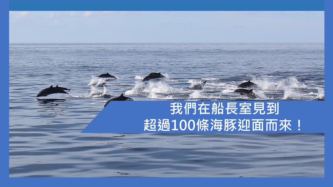 我們在船長室見到超過100條海豚迎面而來 香港郵輪愛好者及ben 哥哥有話兒